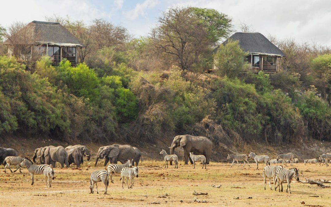 DESERT & DELTA SAFARIS ANNOUNCE BRAND-NEW, ONCE IN A LIFETIME EXPERIENCE: SLEEPING UNDER THE STARS ON THE REMOTE MAKGADIKGADI SALT PAN